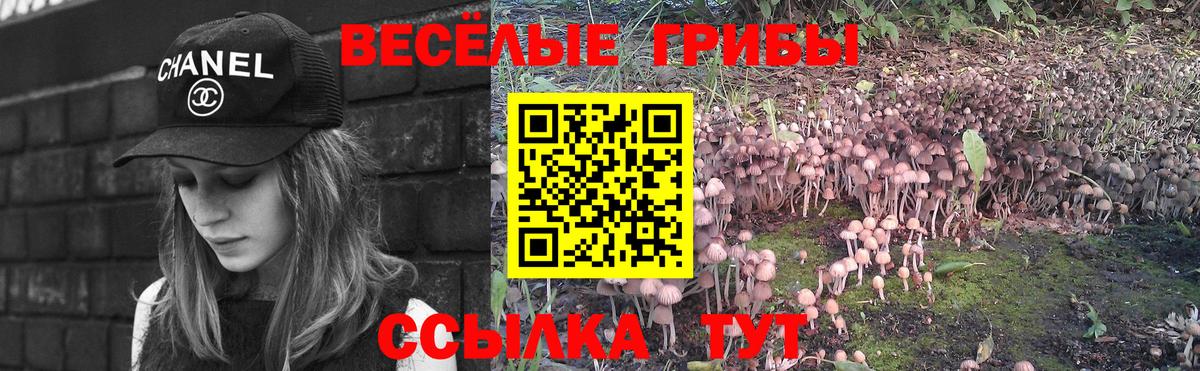 Галлюциногенные грибы Cubensis Менделеевск