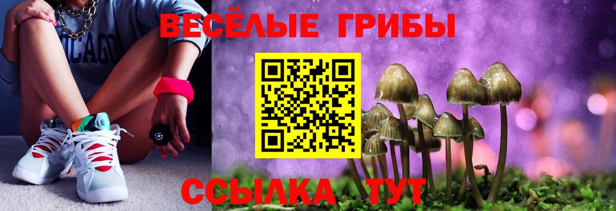 Псилоцибиновые грибы мухоморы  наркотики  Галлюциногенные грибы ЛСД  Менделеевск  Вход с VPN 