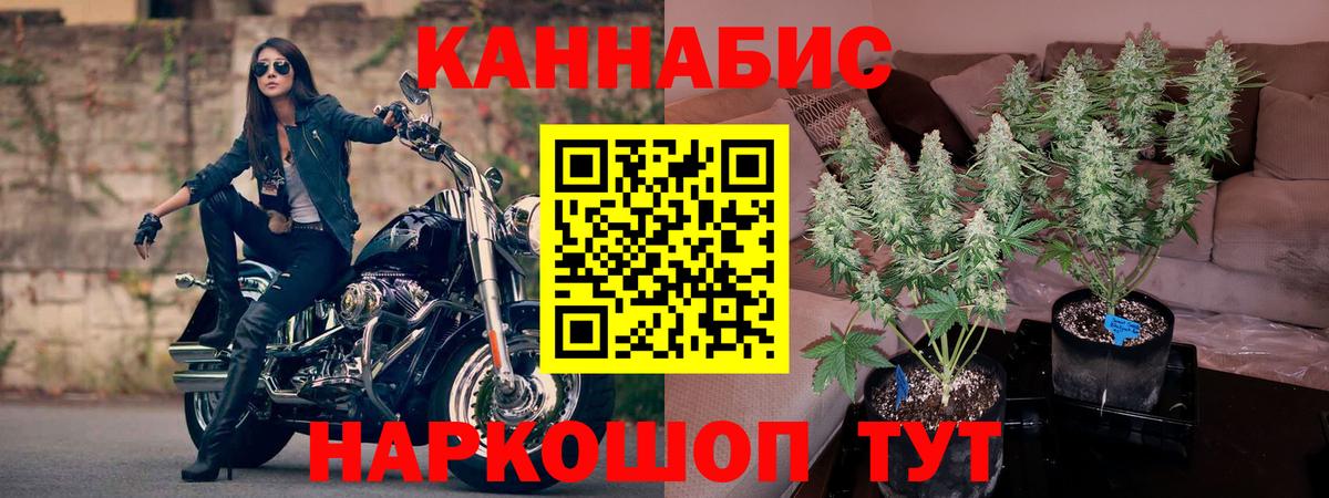 Бошки марихуана ГИДРОПОН Менделеевск